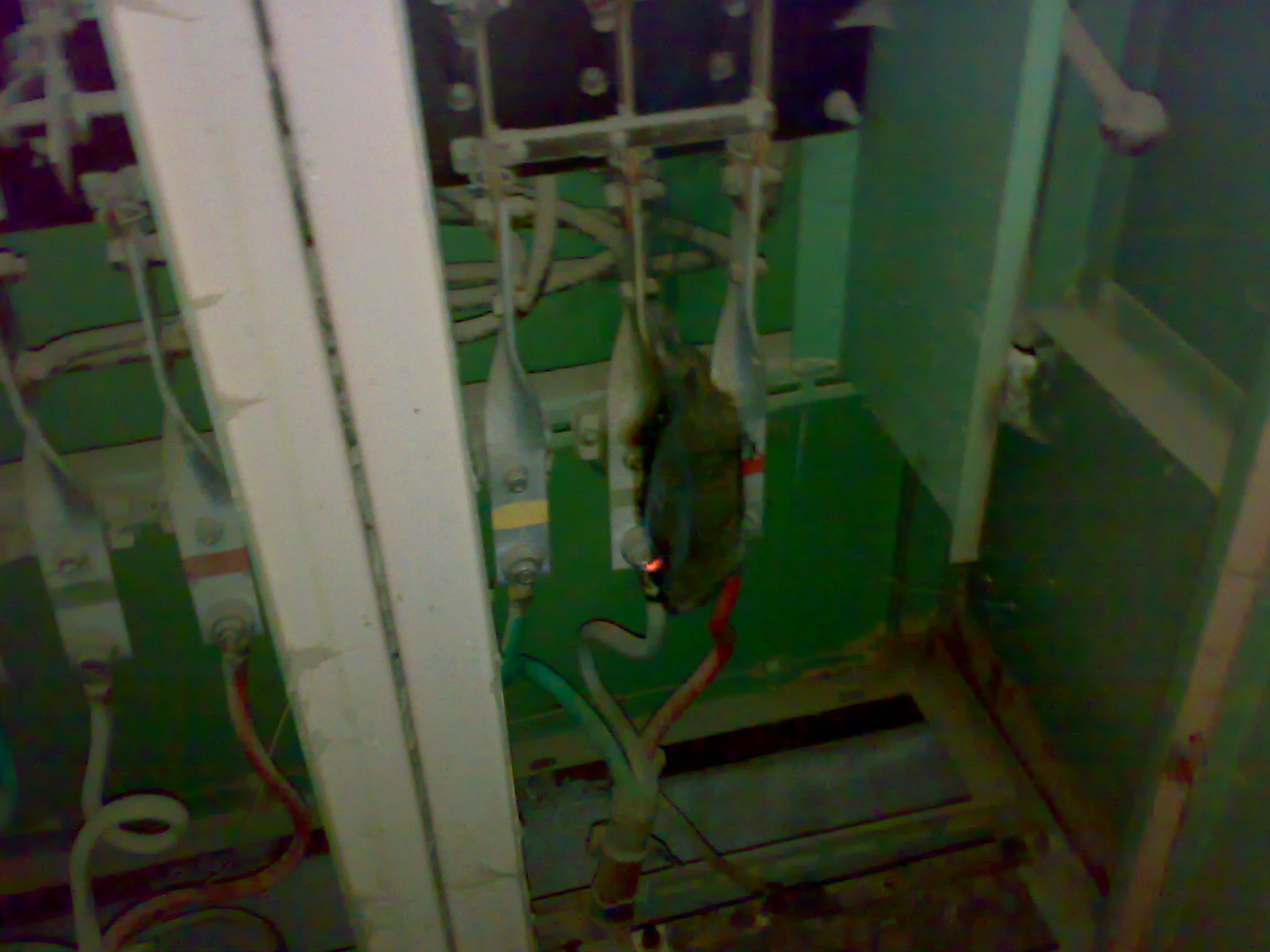29052010147.jpg