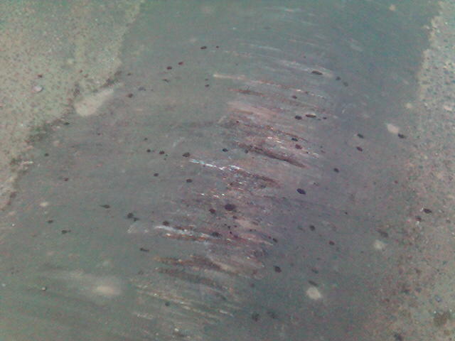 000529_201410.jpg