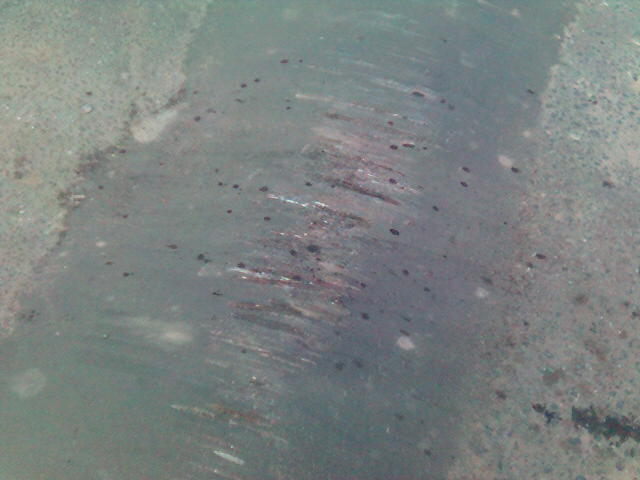 000529_201200.jpg