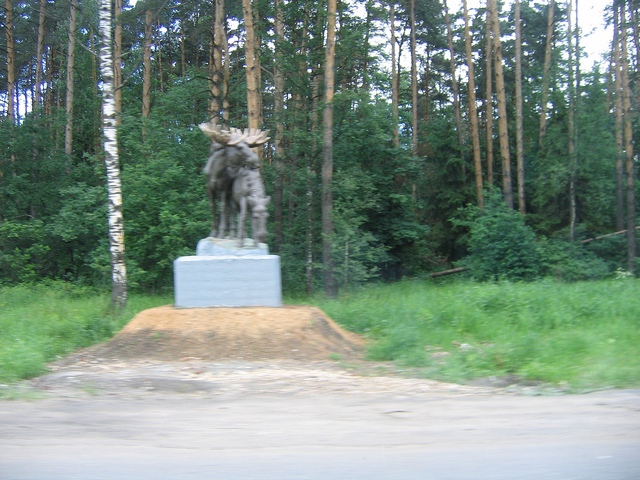 Лоси вернулись :)))