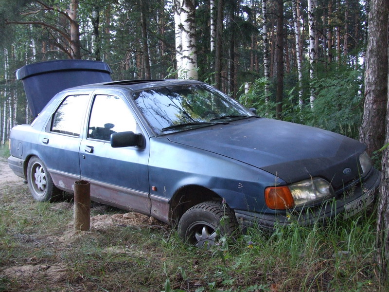 DSCF6645_resize.JPG