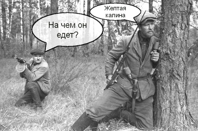 Белорусские партизаны?