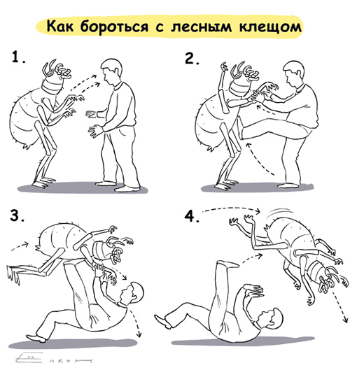 2010_04_08_13_25_img_kiev_fotki_yandex_ru_get_3804_elkin99_e_0_390a7_4e080b08_XL.jpg