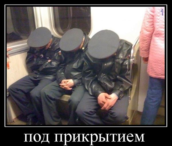 qq.jpg