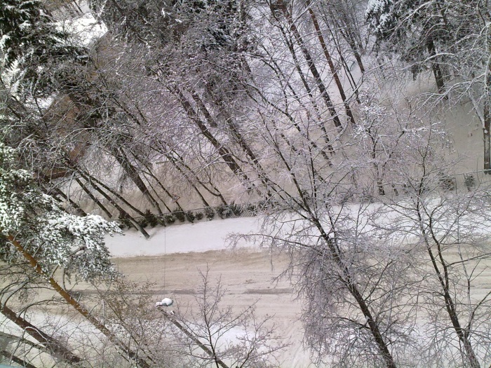 30122010283.jpg