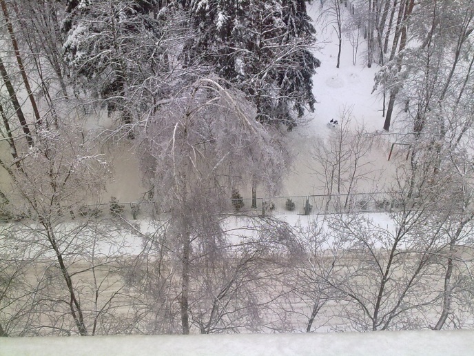 30122010284.jpg
