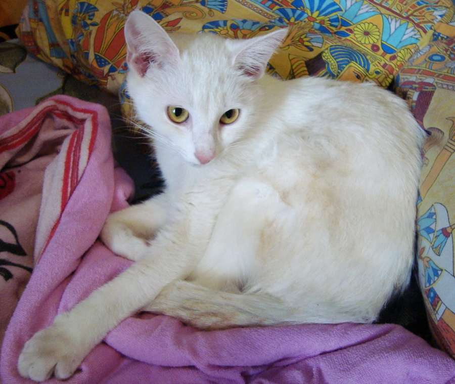 DSC01478.JPG