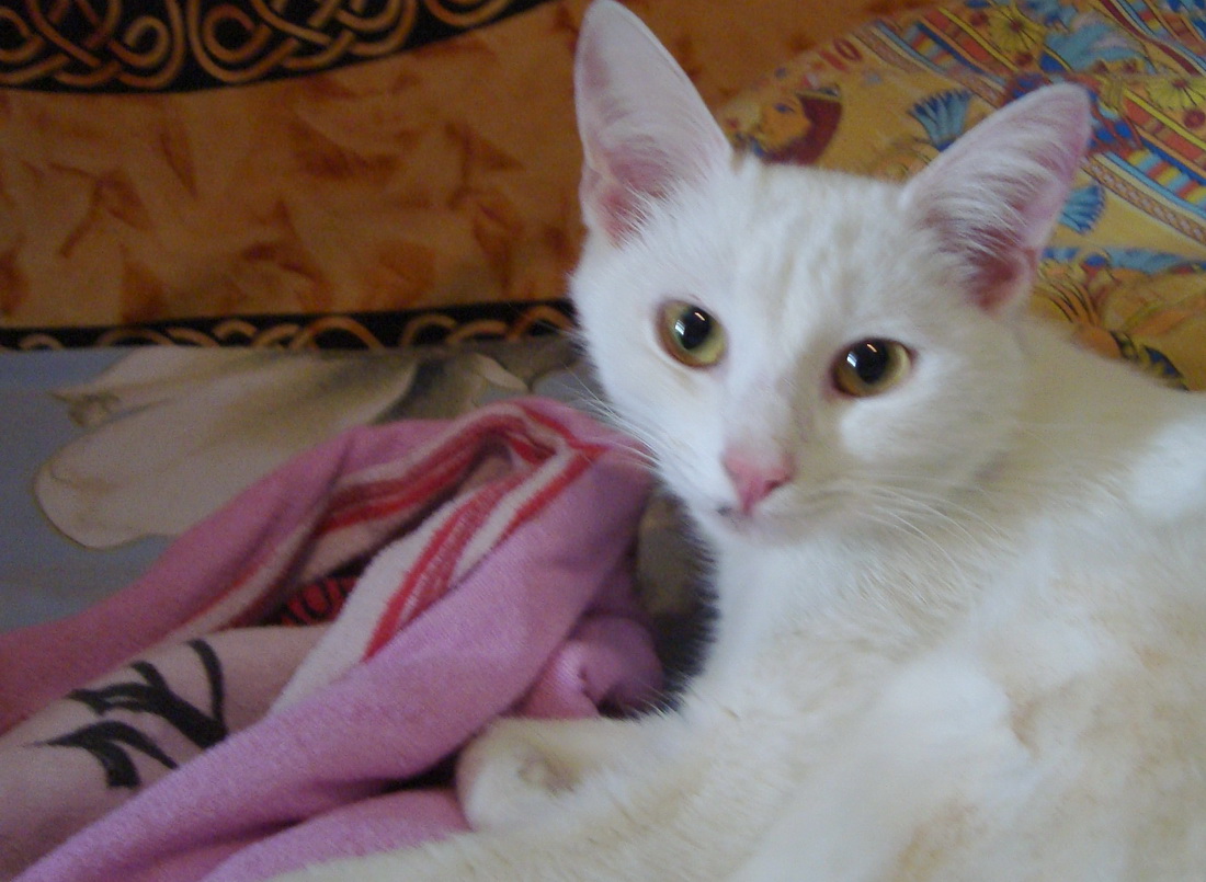 DSC01477.jpg