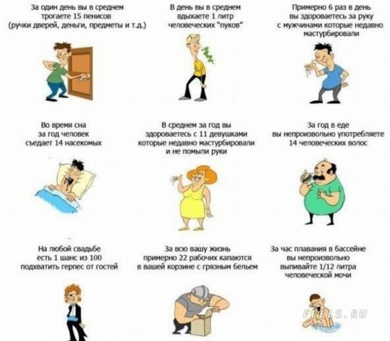 жисть.jpg