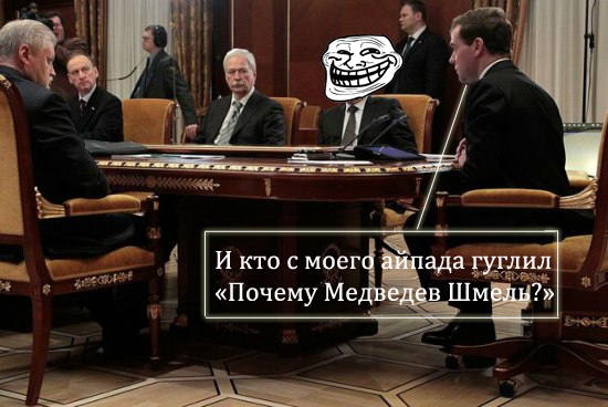 medved.jpg
