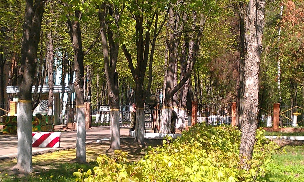 IMAG0120.jpg