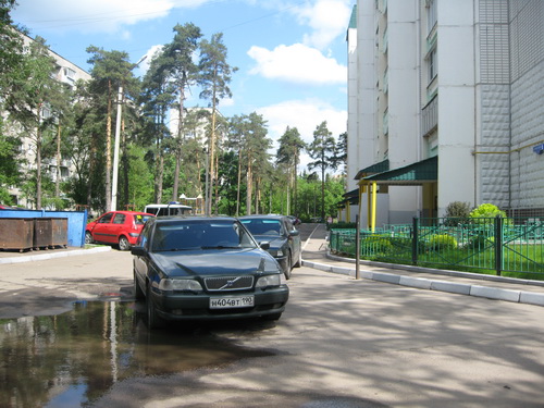 IMG_0230v.jpg
