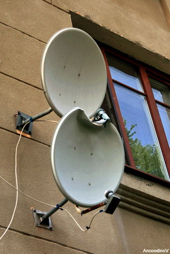 110608_7281645_HI.jpg