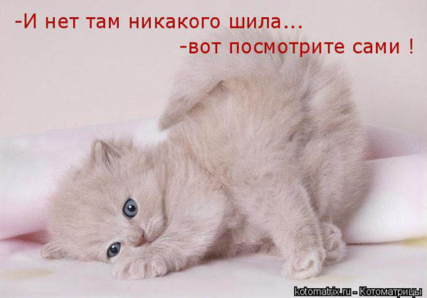 kotomatrix19.jpg
