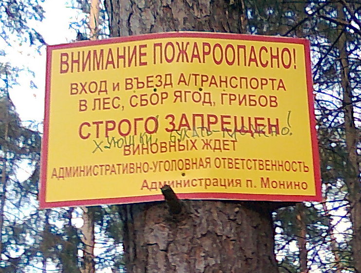 Фото0099.jpg