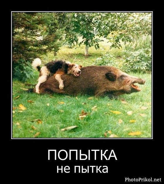 1316937031_demotivatory-prikoly-46.jpg