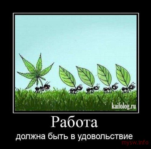3590115IO5O.jpg