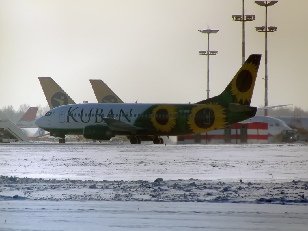 Боинг 737  авиа компания Кубань &quot;или   Подсолнухи&quot;