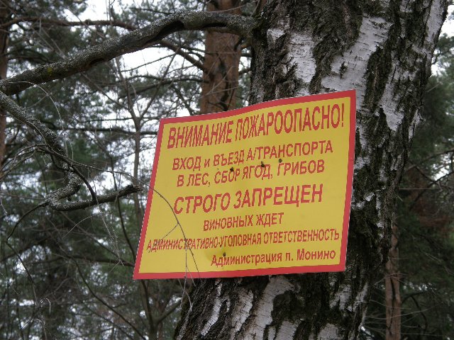 P1012942.JPG