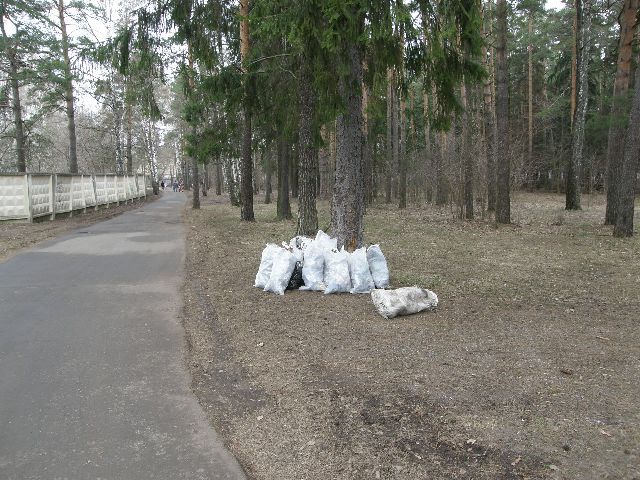 P1012946.JPG