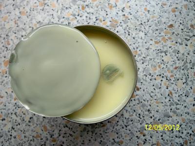 плесень.jpg