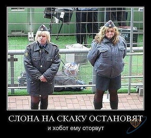getImage (7).jpg