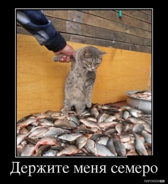 Оппа.jpg