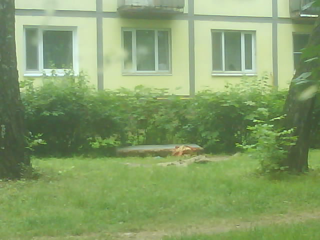 DSC00054.JPG
