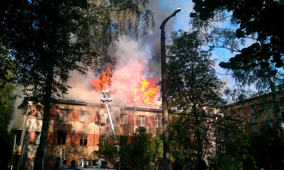 IMAG0334.jpg