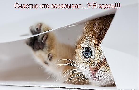 getImage (5).jpg