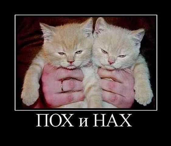 getImage (13).jpg