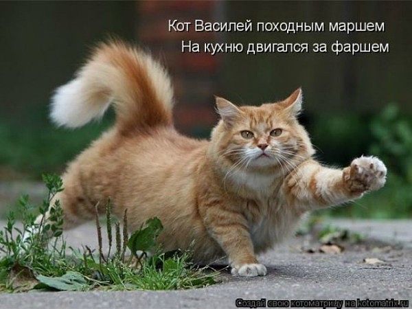 getImage (14).jpg