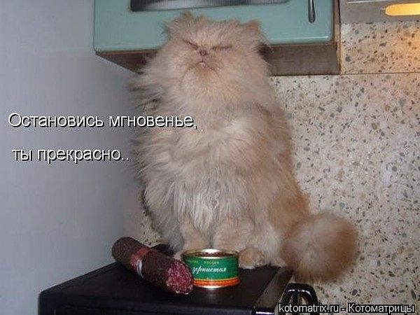 getImage (15).jpg