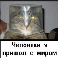 2475_T~1.JPG
