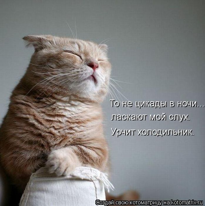 kotomatrix_18.jpg