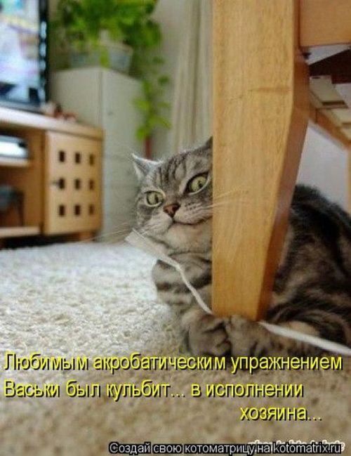 kotomatrix_49.jpg