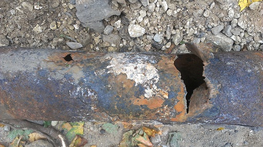 IMAG0168.jpg