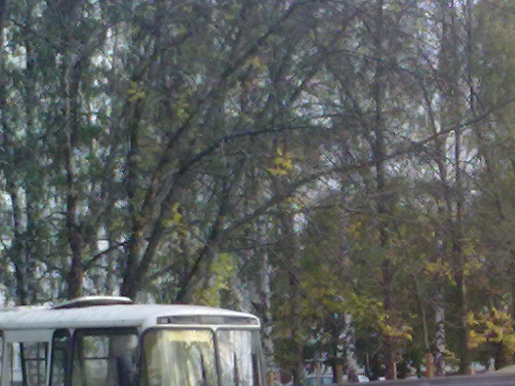 ФОТО3.JPG