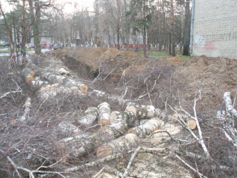 SDC1088888888.jpg
