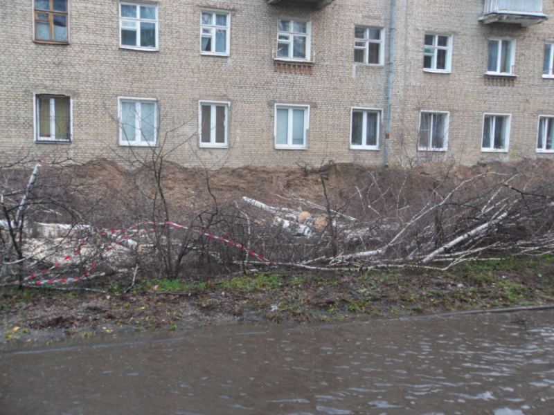 SDC10886666666.jpg