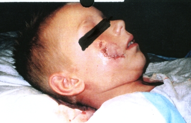 example5.jpg
