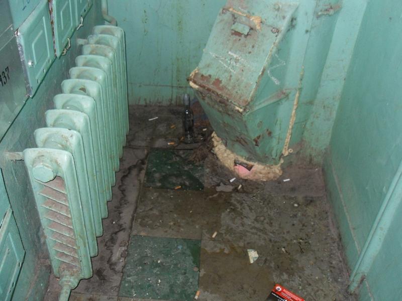 SDC11009.JPG