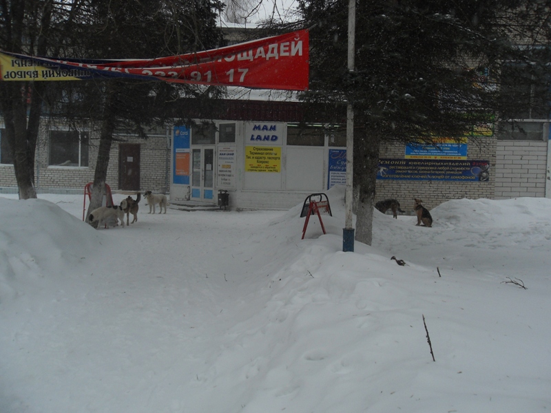 бандерлоги2.jpg