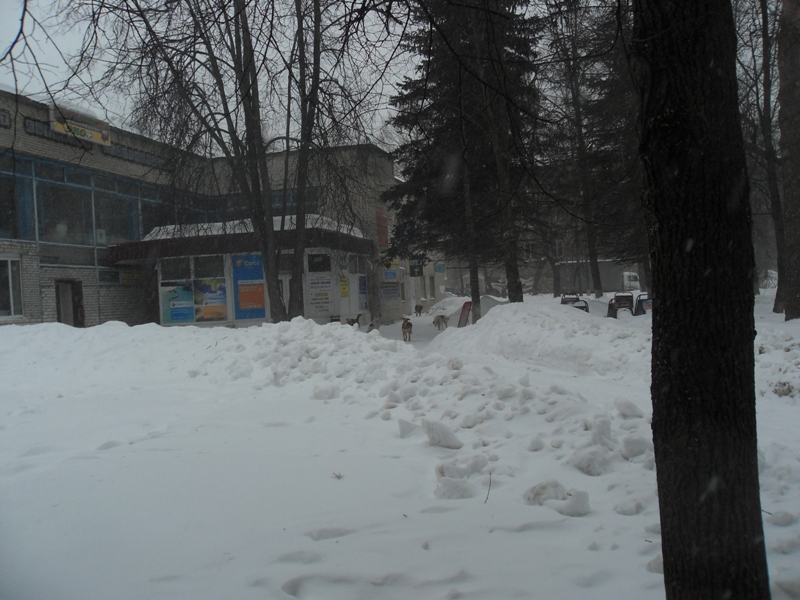 бандерлоги3.jpg