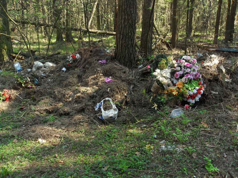 SDC11073.JPG