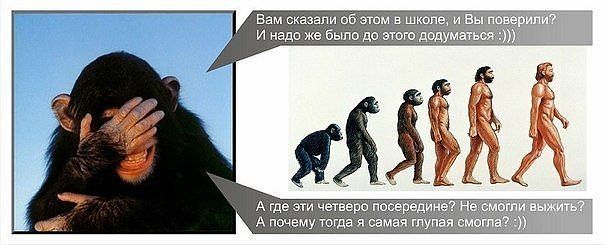 getImage19HLOOM0.jpg