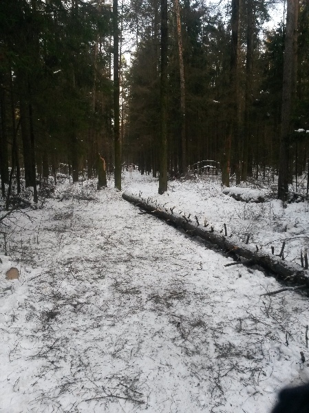 20131215_114648.jpg