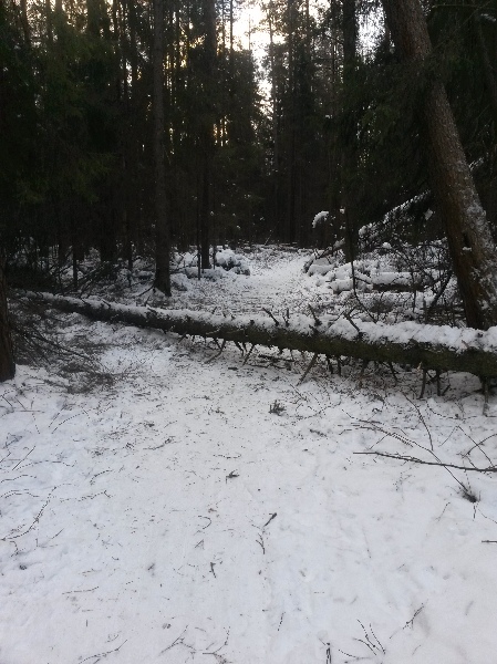 20131215_114823.jpg