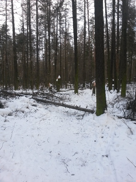 20131215_115951.jpg