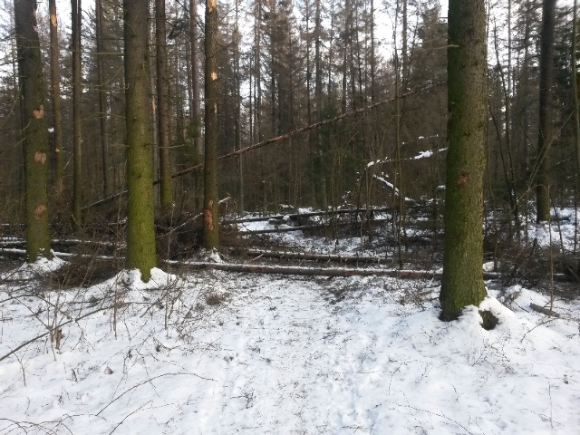 20131215_120605.jpg